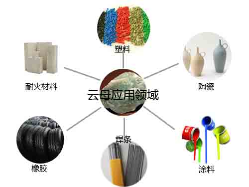 ��ĸ������