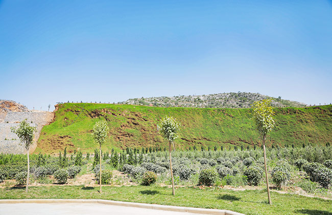 �C��ɰ���a(ch��n)���h(hu��n)��Ҫ��