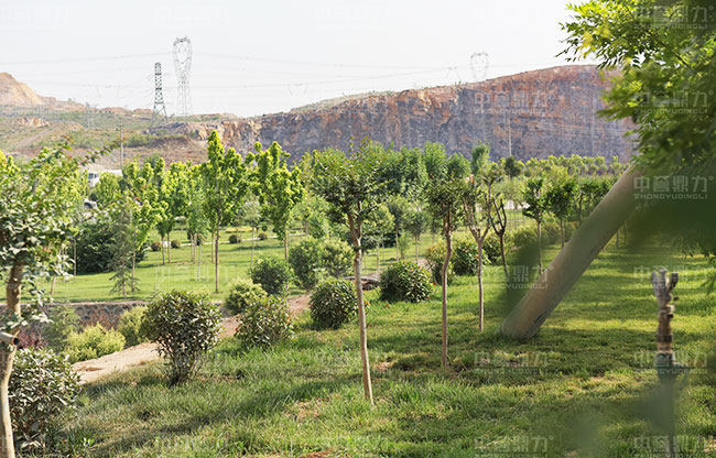 �Vɽ�ޏ�����